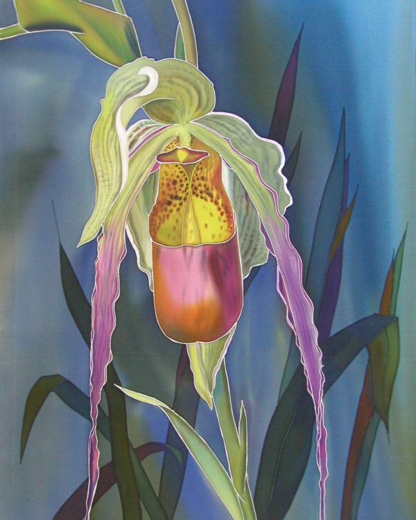 Pink Orchid