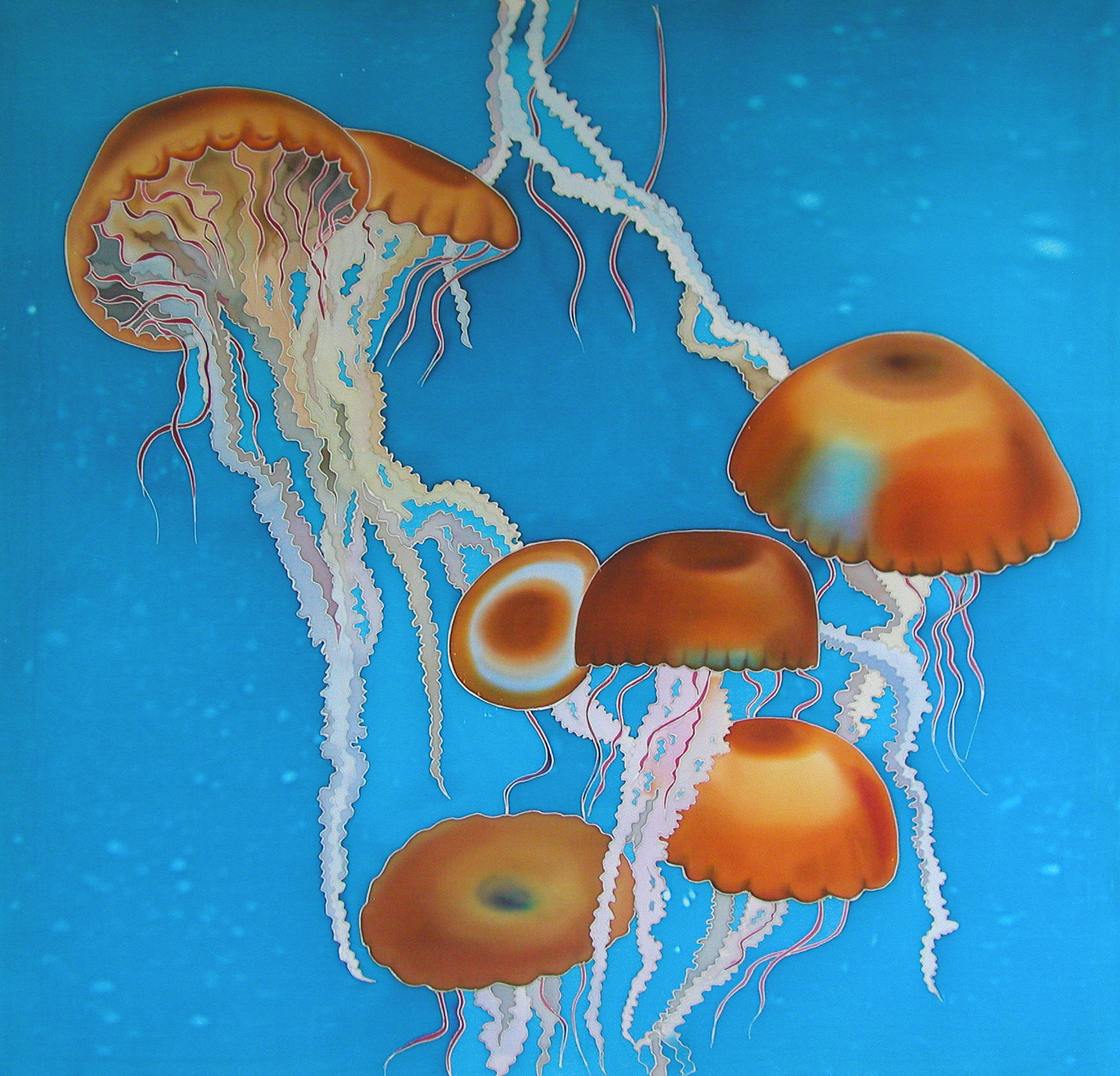 Jellyfish