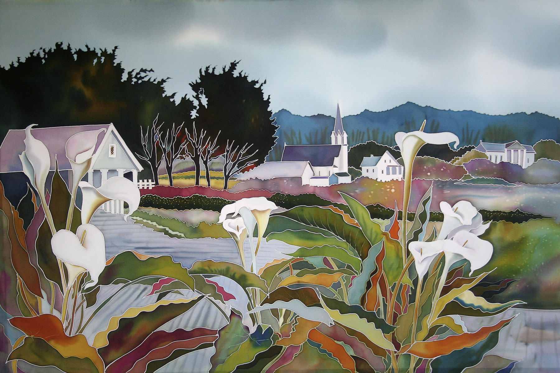 Calla Lilies, Mendocino